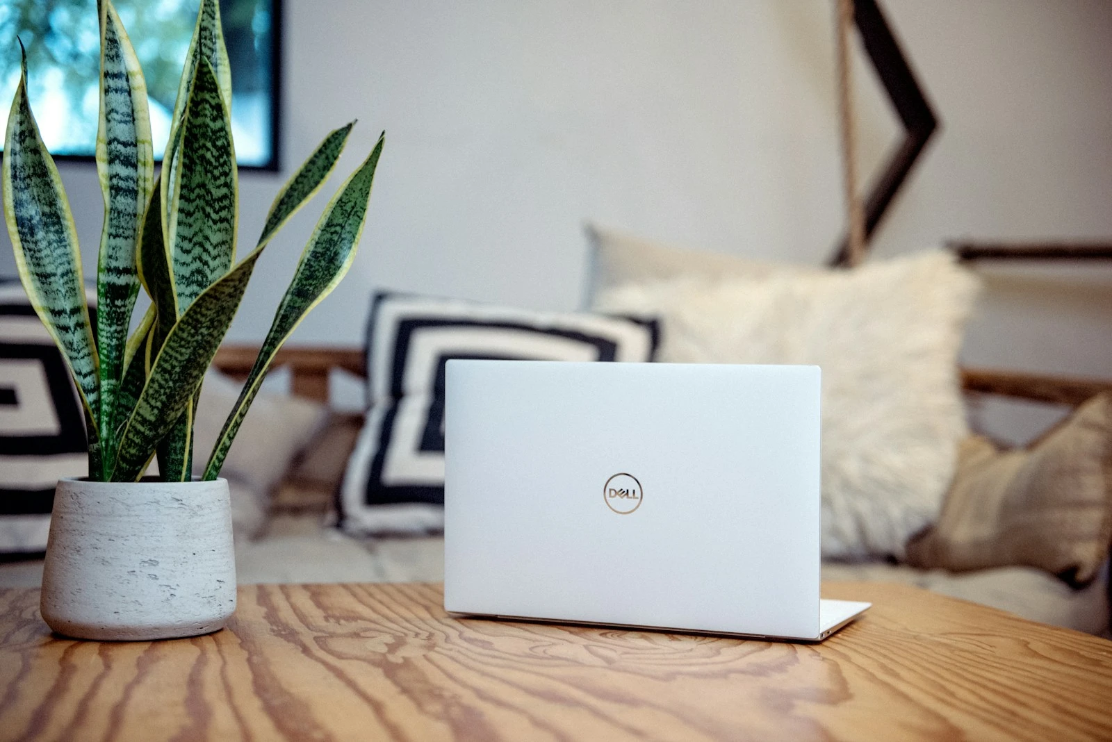 Closed laptop and a potted plant on a wooden table by a window
