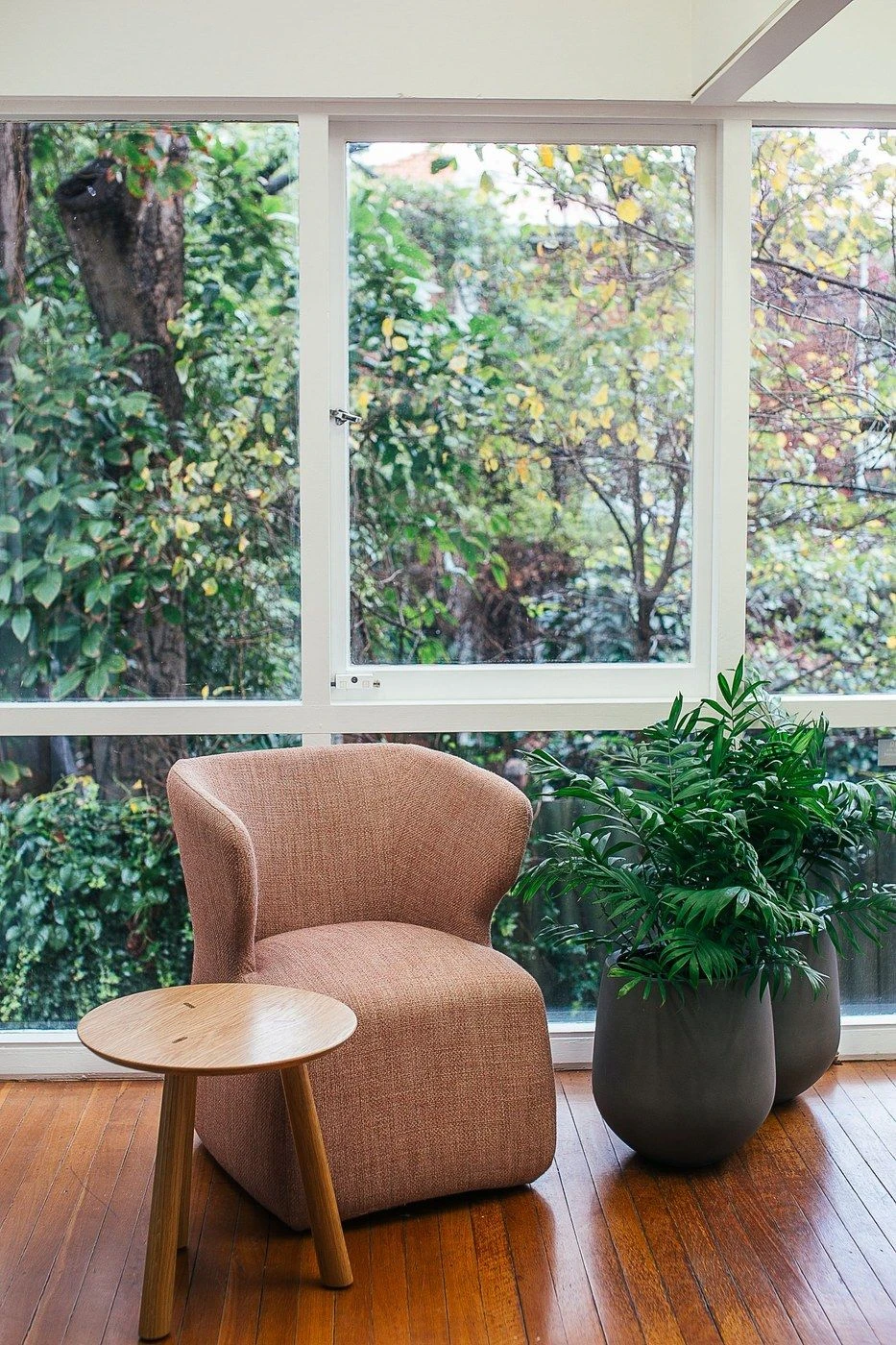 An armchair and potted plants by a window